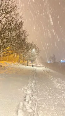 Зима идет снег: Заснеженные красоты в формате JPG для загрузки