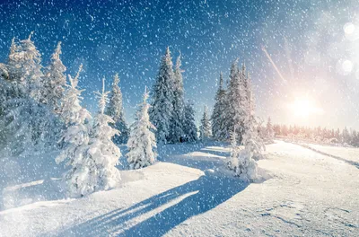 Зима идет снег: Шикарные фотографии морозной зимы в JPG