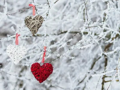 Фото Зима любовь: Зимняя красота на ваш выбор