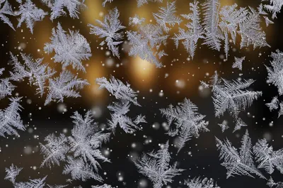 Фотографии зимней атмосферы: Выберите свой формат и размер