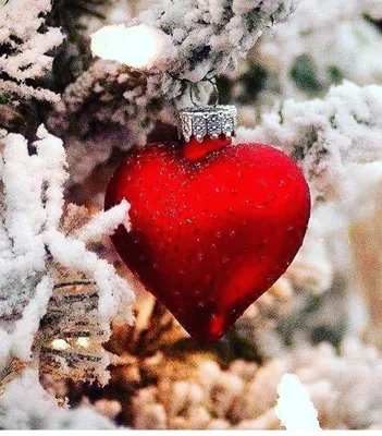 Фото Зима любовь: Подарок для глаз в любом формате