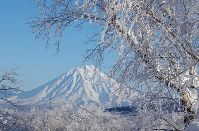 Зимний фотопарад: Камчатка во всей красе