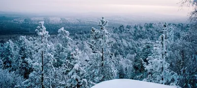 Зимняя красота Урала: Фотография высокого разрешения в формате JPG