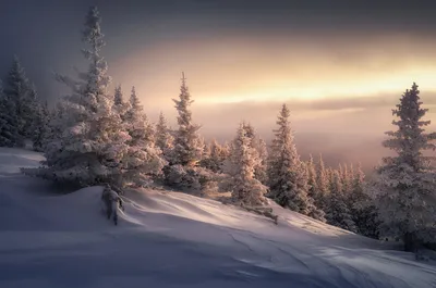Зимние радости на Урале: Фото в JPG для дизайнерских проектов