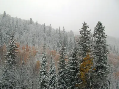 Уральская зима в объективе: Фотография высокого качества в JPG