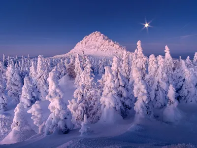 Уральская зима: Фото для печати в формате WebP