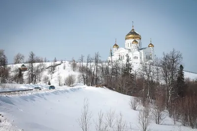 Зимние узоры природы Урала: Изображение в высоком разрешении в PNG