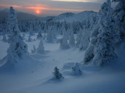 Зимняя красота природы Урала: Скачать WebP картинку для онлайн-проектов