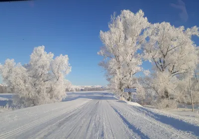Уральская зима в объективе: WebP фотография для онлайн-использования
