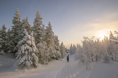 Импозантные снежные пейзажи Урала: Скачать PNG изображение