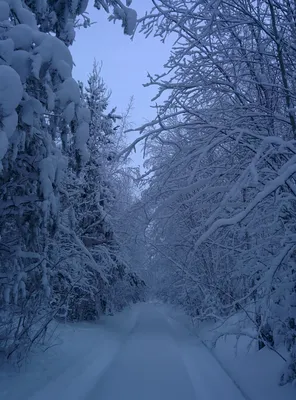 Зимняя атмосфера Уральских просторов: Фотка для скачивания в WebP