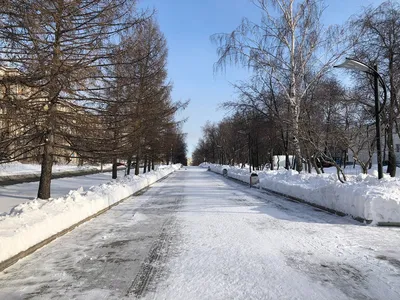 Зимние чудеса природы Урала: Фото в высоком разрешении в JPG