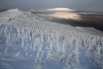 Зимние моменты на Урале: Изображение в PNG для использования онлайн