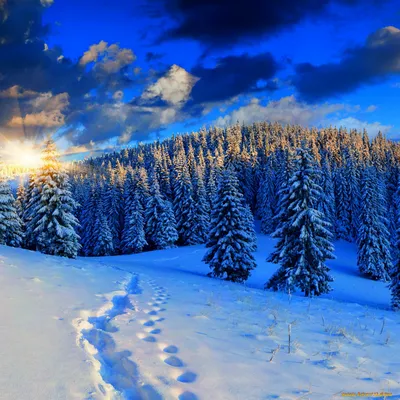 Зимний рай: Картинка в высоком разрешении