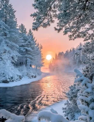 Зимний рассвет: Фото формата JPG