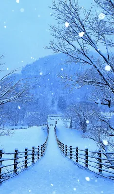 Зимний пейзаж: Фото формата JPG