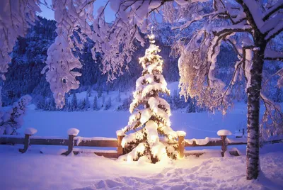 Фотоальбом Зима новый год рождество: сезонные изыски