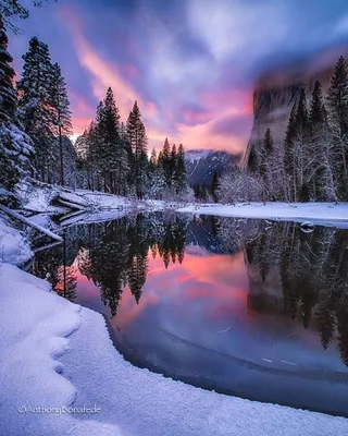 Зимняя красота: Фото природы в зимний день