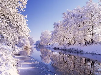 Зимнее волшебство: Фотографии зимней природы на любой вкус