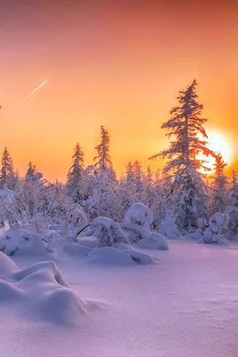 Зимние магии: Снимки зимнего пейзажа в различных форматах