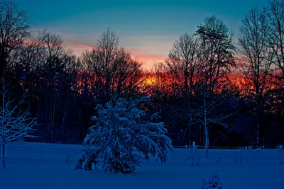 Зимний калейдоскоп: Выберите фото и формат для загрузки