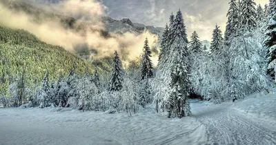 Зимний фотомир: Фотографии для скачивания в различных форматах