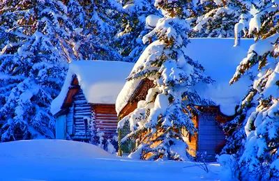Зимний пейзаж: Свежие снежные образы на ваш выбор