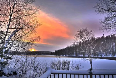 Зимние чудеса: Фотографии природы в разных размерах