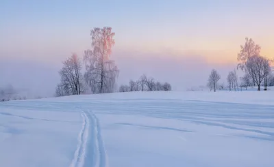 Зима рассвет фотографии