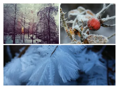 Фотографии зимы: выберите формат и размер для загрузки