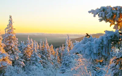 Фото зимних пейзажей: выберите формат и размер для загрузки