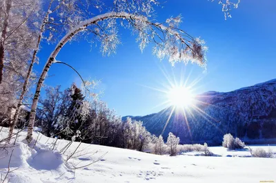 Зимние чудеса: фотографии для загрузки в разных форматах