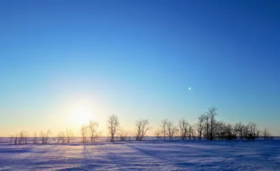 Фотографии Зима солнце: Яркие моменты холодного времени года