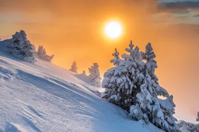 Зимний сияющий пейзаж: Картинки солнечных дней зимы
