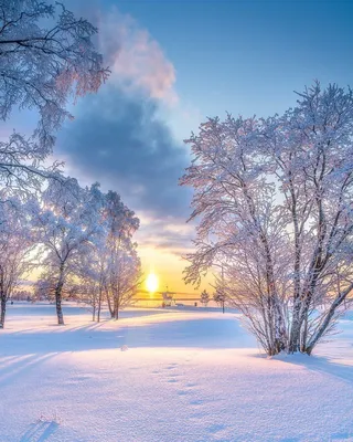 Зимний горизонт: Изображения солнечного восхода и заката