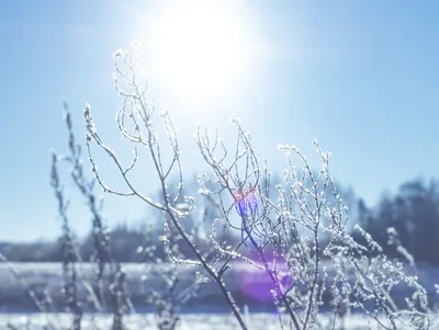 Лучи солнца в зимнем небе: Фото, вдохновляющие своей красотой