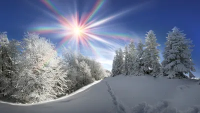 Зимнее солнце в разных ракурсах: Фотографии для выбора