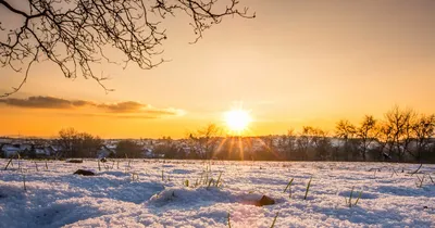 Зимнее фото: Солнце, снег и атмосфера уюта