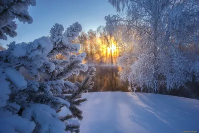 Зимний солнечный блеск: Фотографии для скачивания в высоком качестве