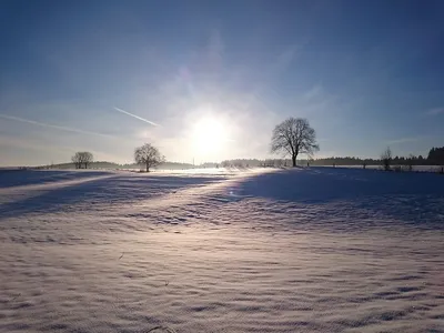 Фотографии Зима солнце: Заснеженные пейзажи под сияющим солнцем