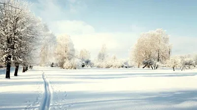 Зимний фотоальбом: Солнце, снег и красивые моменты
