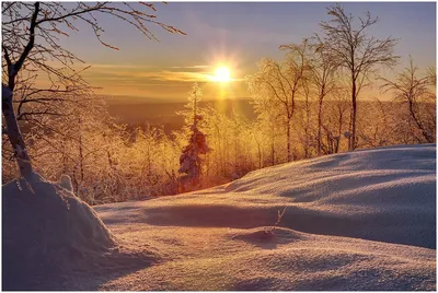 Зимние моменты солнца: Фотографии, которые придают уют