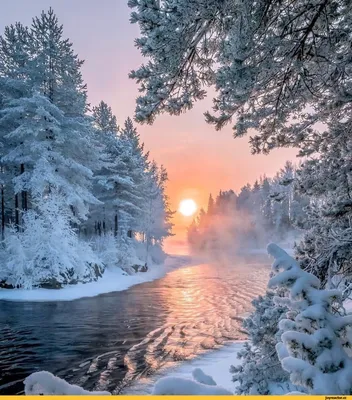 Зимний рай: Фотографии солнечных дней в холодном климате