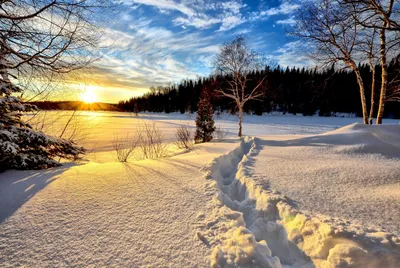 Солнце и снег: Зимние картины в вашем распоряжении