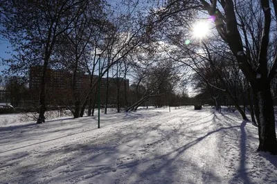 Зимнее сияние: Фотографии солнца на белоснежном фоне