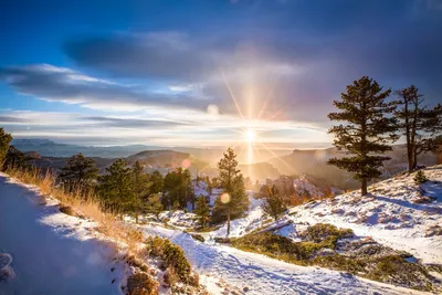 Зимний фотоколлаж: Изображения, запечатлевшие солнечные моменты