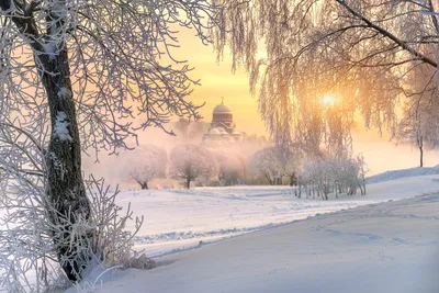 Зимний блеск: Фотографии с солнечными бликами на снегу