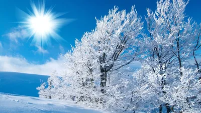 Фото Зима солнце: Красивые изображения для вашего выбора
