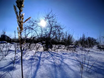 Зимнее фотоискусство: Изображения солнечных лучей и зимних красок