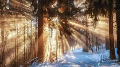 Зимний пейзаж: Фотографии солнца и снега в различных ракурсах